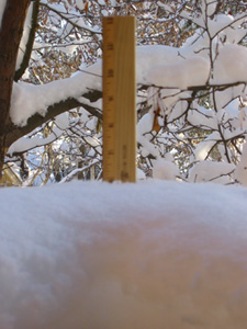 6 inches on 2/3/03